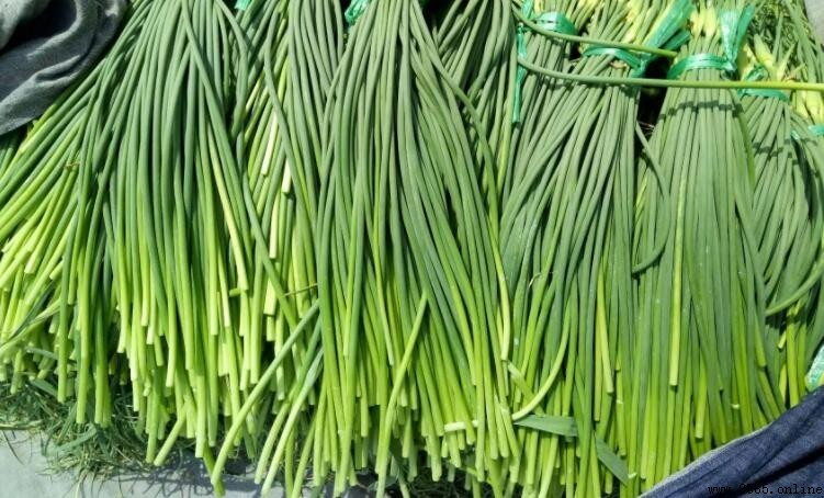 蒜苔放冰箱可以放多久?正確保存方法與時效解析