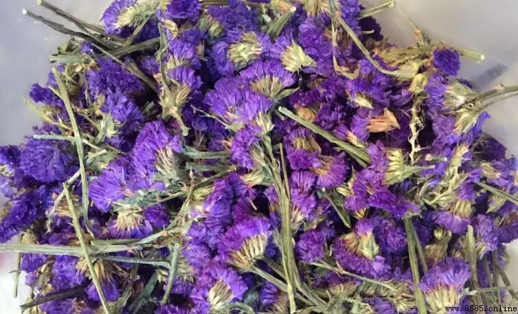 勿忘我干花能否泡水？正確養護方式解析