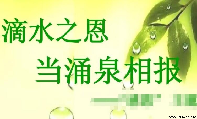 滴水之恩下一句是什麼