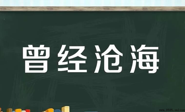 「曾经沧海」的意思與出處