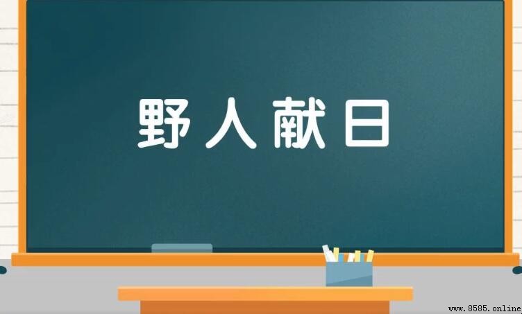 野人獻日 意思與用法