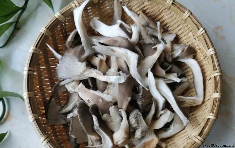 平菇需要焯水嗎
