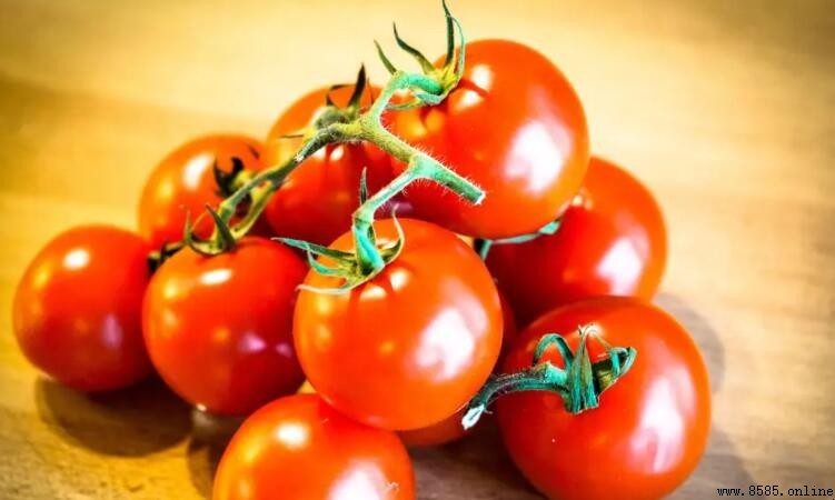 西紅柿可以生吃嗎?營養與功效解析