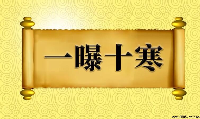 一什麼十寒的成语是什么