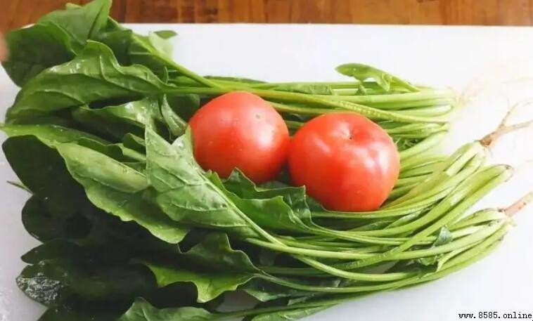 番茄可以和菠菜一起吃吗