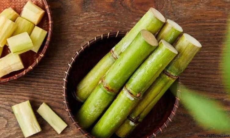 甘蔗皮是干垃圾還是濕垃圾?解析正確分類方式