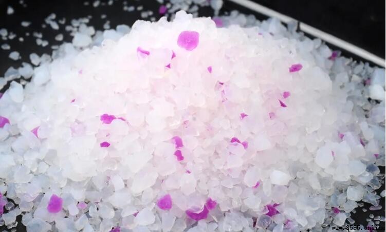 水晶貓砂的主要特點與優勢