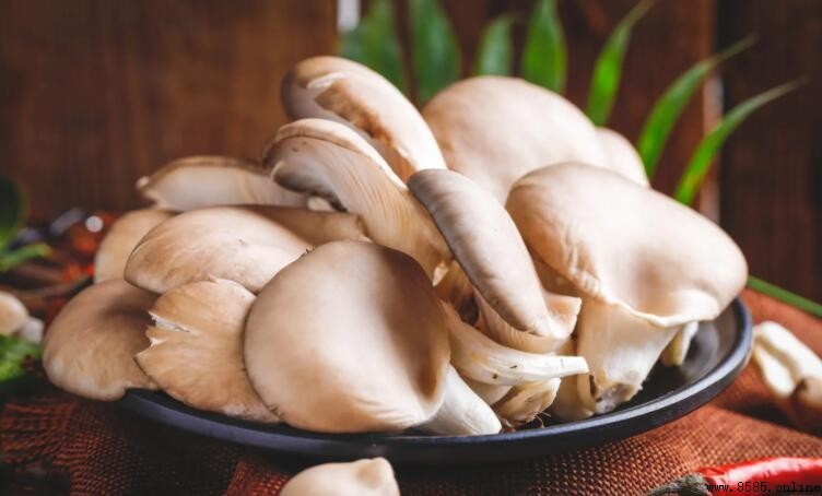平菇長白毛了還能吃嗎？安全食用指南