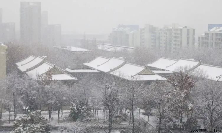 南方下雪的城市有哪些