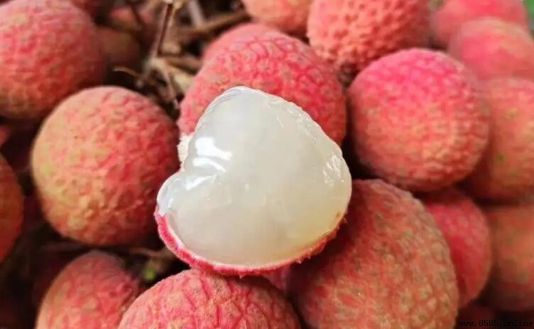 荔枝殼是什麼垃圾？分類標準及處理方式