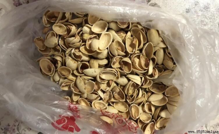 开心果壳属于什么垃圾