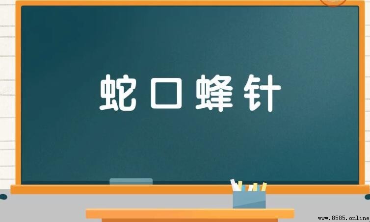 蛇口蜂针是什么意思