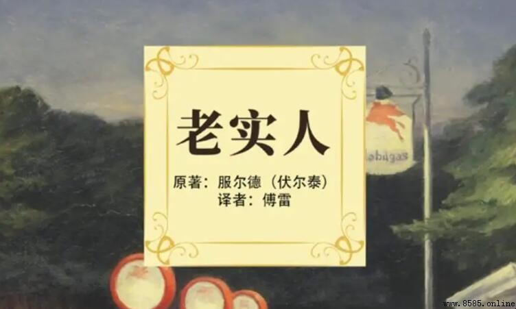 《老实人》读后感写作指南与解析