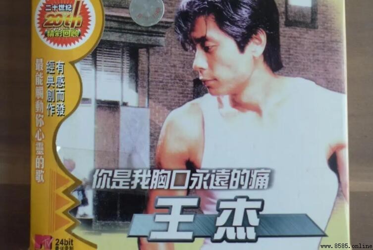 《你是我胸口永远的痛》與「讓愛隨風沉默」:原唱、詞曲作者及背景解析