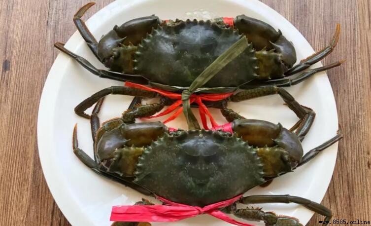 青蟹是海蟹:分類、產地與特點解析
