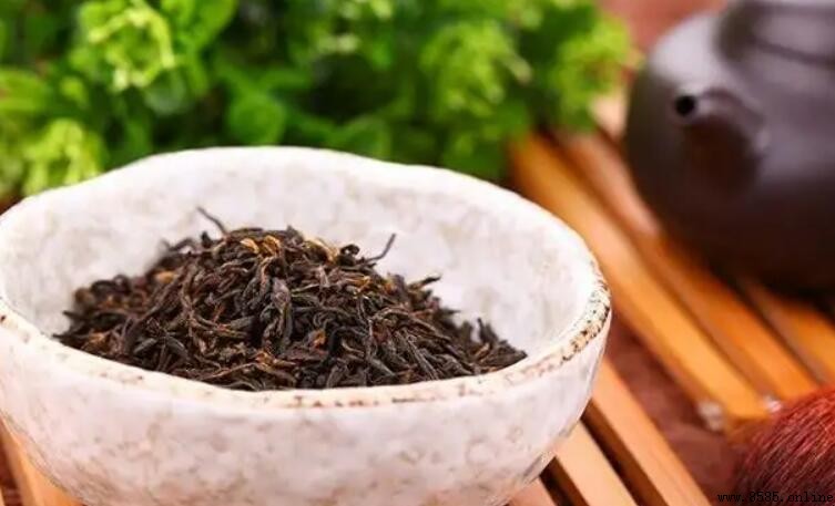 祁門紅茶保存期限：影響因素與正確儲存方法