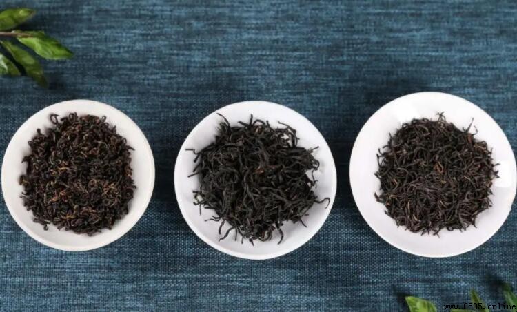祁門紅茶的品種介紹
