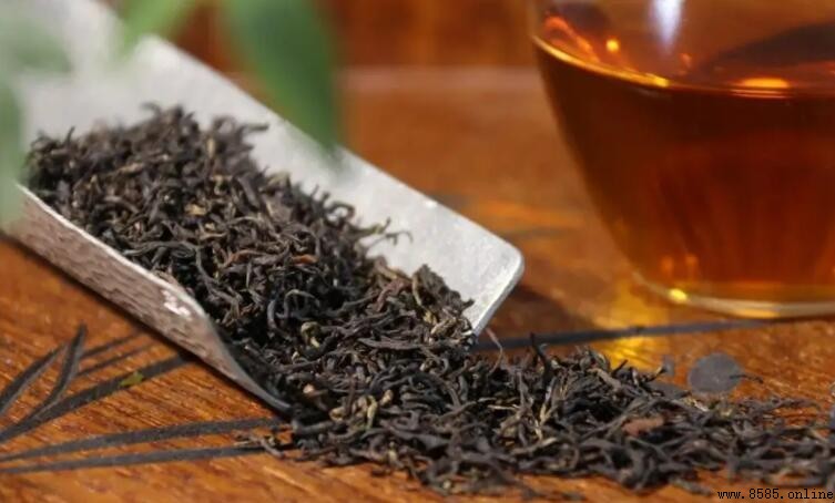 祁門紅茶如何保存?實用儲存方法分享