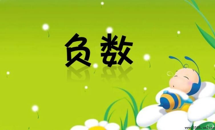 負數是否屬於有理數?解析負數與有理數的關係
