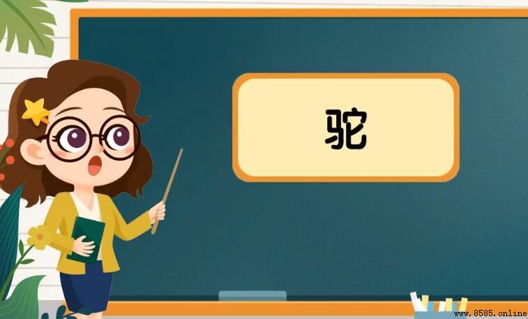 駝字的常用词汇整理