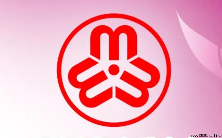 妇联是干什么的?解读妇联的主要职能与作用