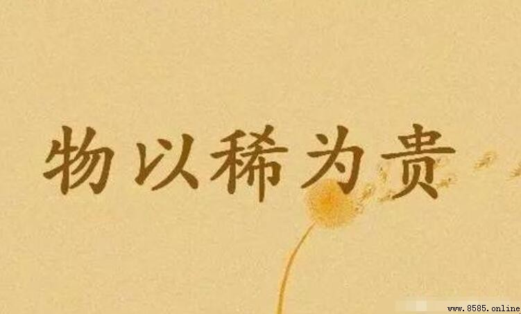 物以稀為貴的下一句是什麼