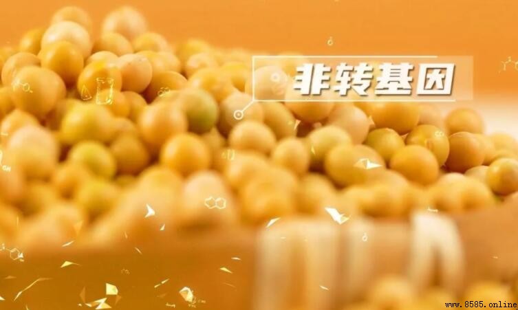 非轉基因的定義與含義