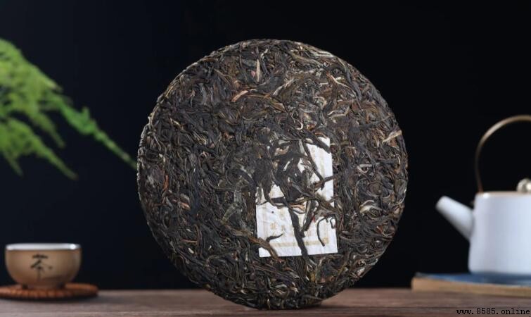 普洱茶能存放多久？保存期限與實用建議