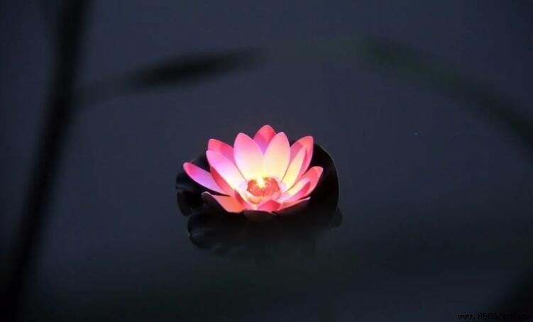放蓮花燈是什麼節日?中元節的傳統與意義