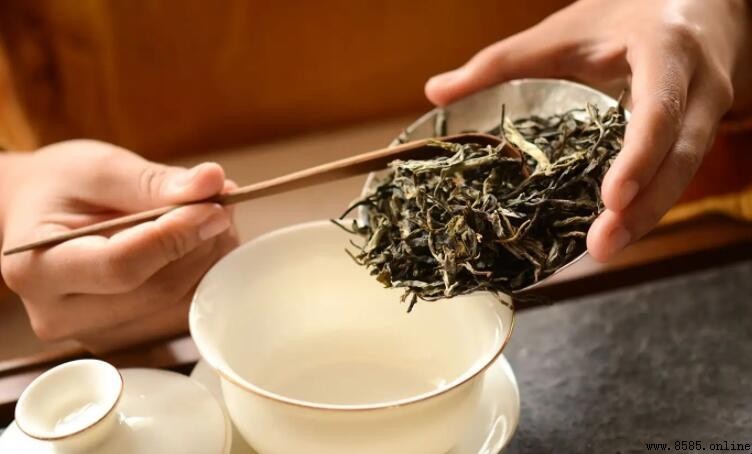 普洱茶冲泡水温多少度最适宜