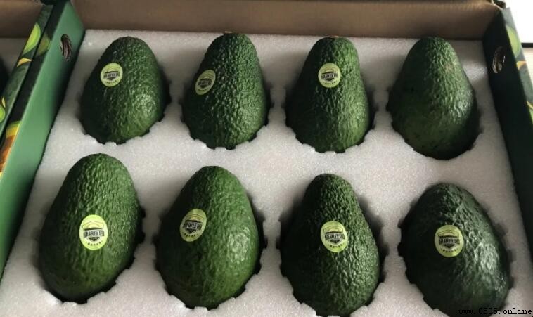 牛油果為何變黑?原因與食用建議解析