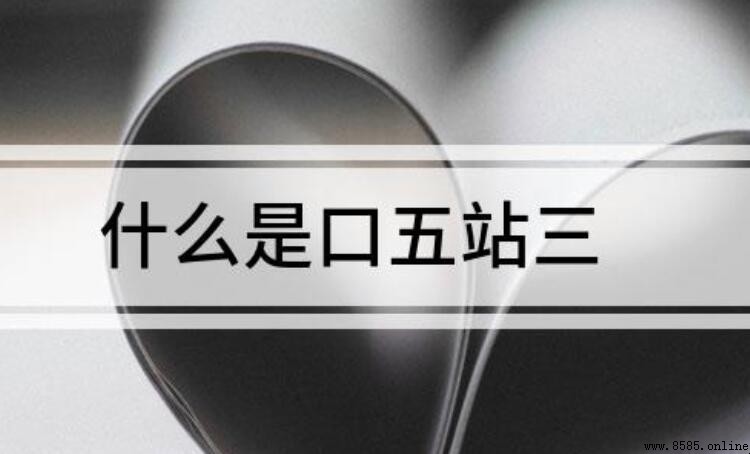 口五站三的意思與駕考重點解析