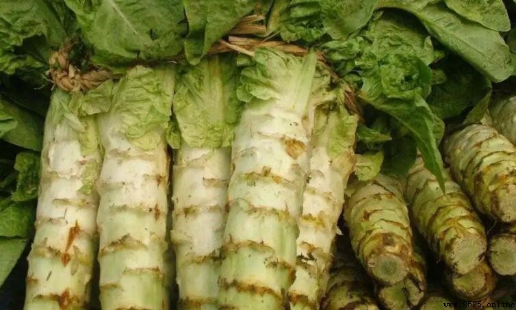 莴筍變紅可以食用嗎？安全食用指南