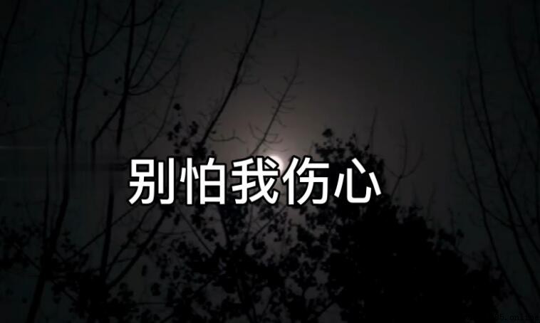 我從來不敢給你任何諾言是哪首歌