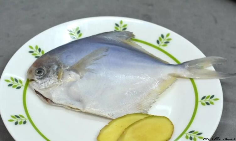 平魚與鯖魚的區別解析
