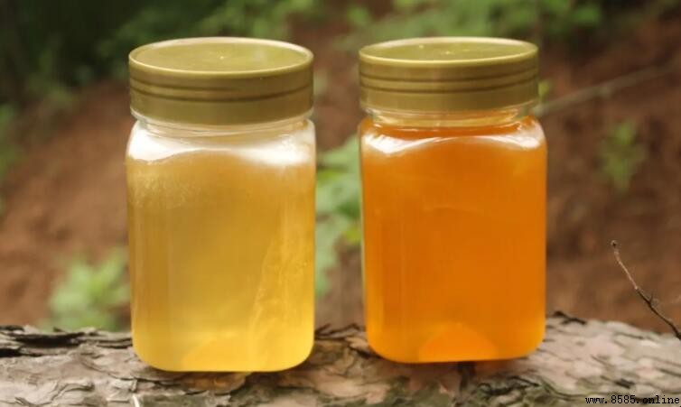 土蜂蜜能否放入冰箱保存?