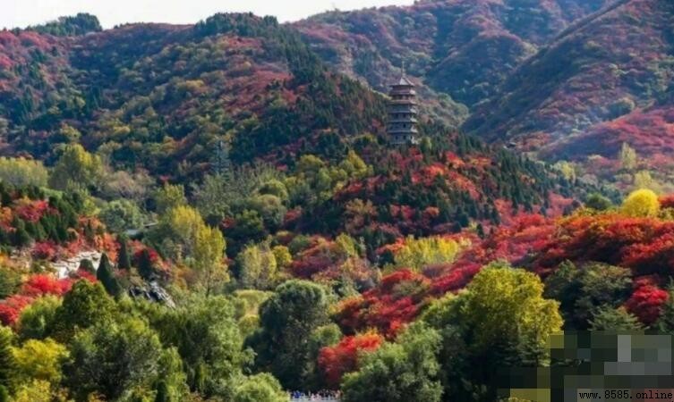義馬市景點推薦|清風山與歷史景觀全攻略