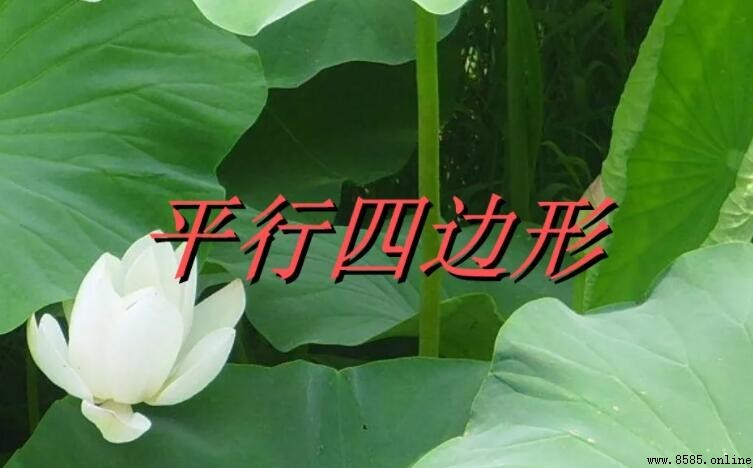 平行四邊形對角線是否平分對角？解析性質與條件