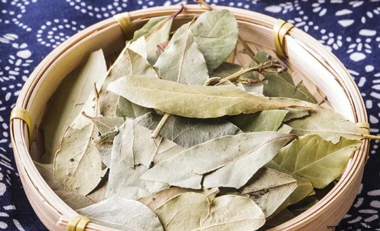 香葉是什麼樹的葉子?揭開月桂葉的神秘面紗