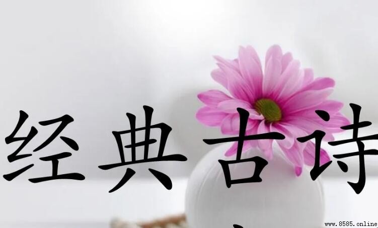 甫開頭的經典詩句有哪些