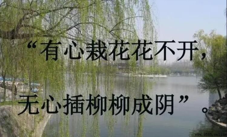 有心栽花花不開的下一句