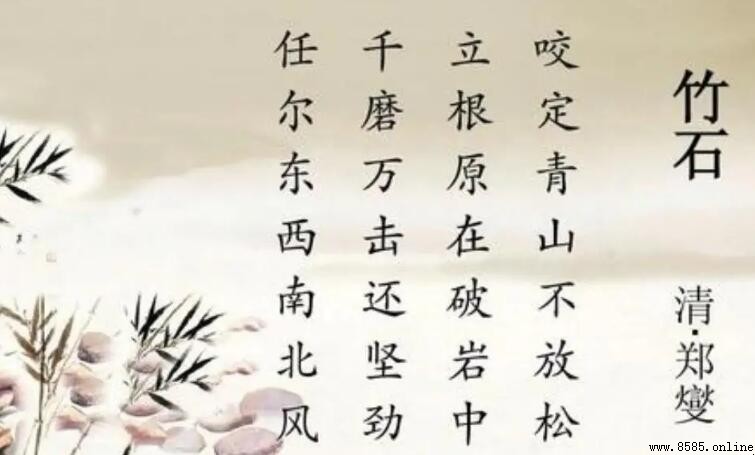《竹石》读后感怎么写