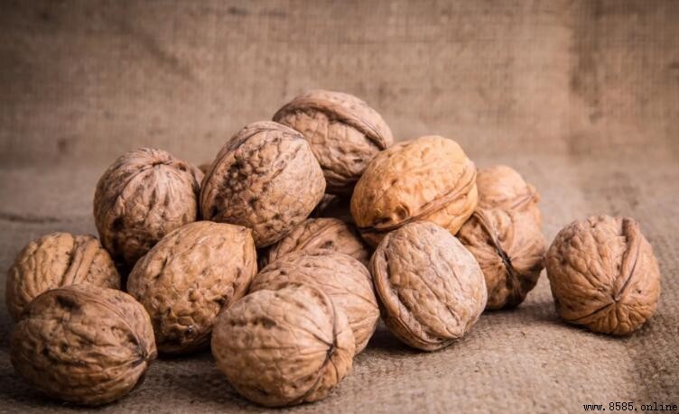 核桃盤黑了能恢復嗎?分級處理與恢復技巧
