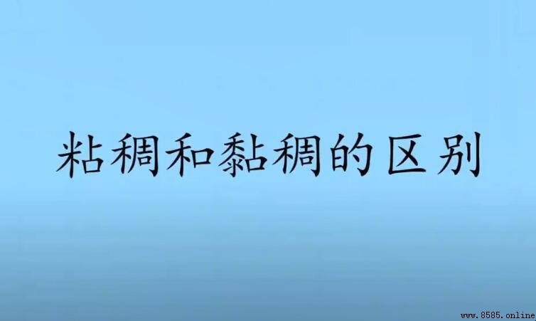粘稠和黏稠的区别是什么