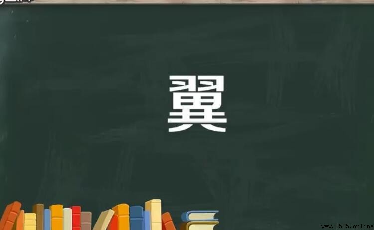 翼的組詞有哪些