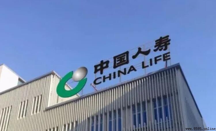 中國人壽是國企還是私企?解析其國企背景與性質
