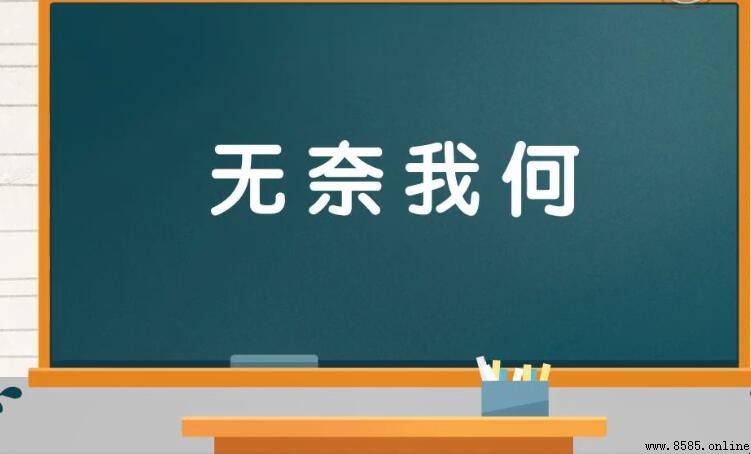 無奈我何的意思