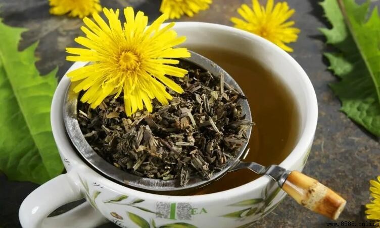 蒲公英茶保存方法