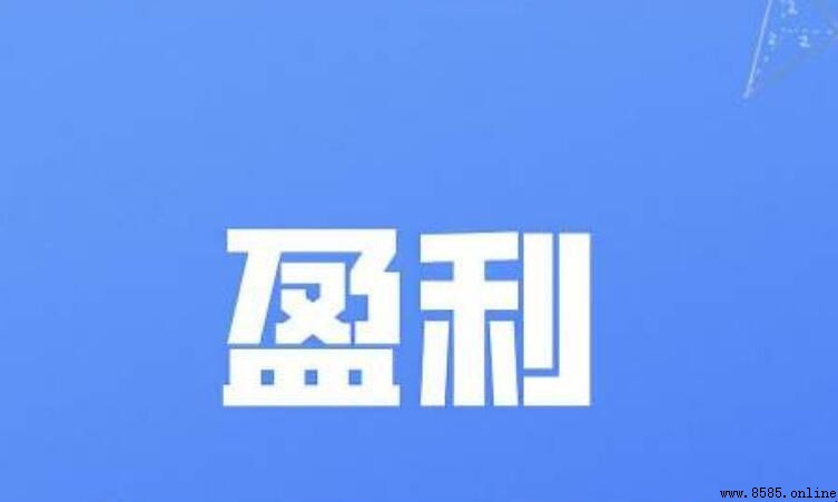 盈利與營利的區別:詞性、用法及含義解析