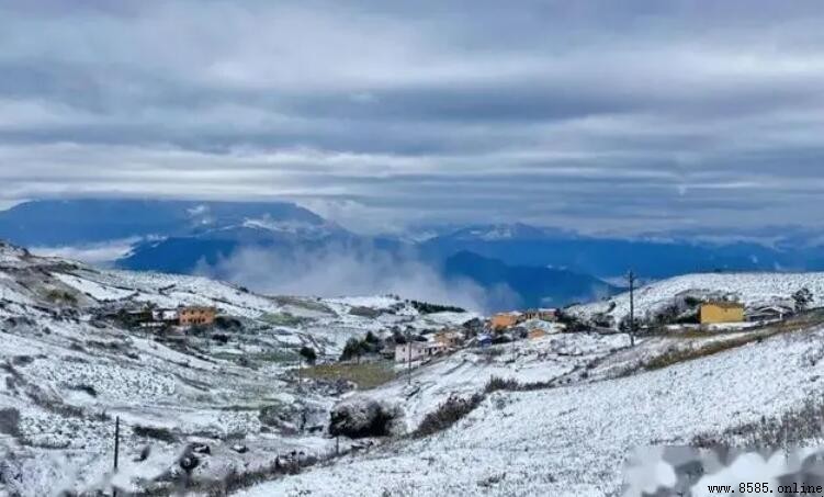 雲南冬天會下雪嗎?解答